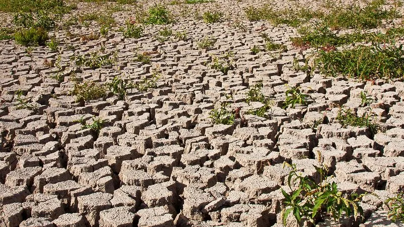 Dans les Pyrénées-Orientales, l’incendie dévaste tout: «On s’est retrouvés encerclés. C’était apocalyptique.»